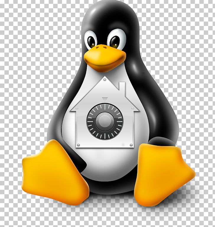 Linux MacOS Operating Systems PNG, Clipart, Beak, Bird, Computer, Flightless Bird, Forensic Disk Controller Free PNG Download