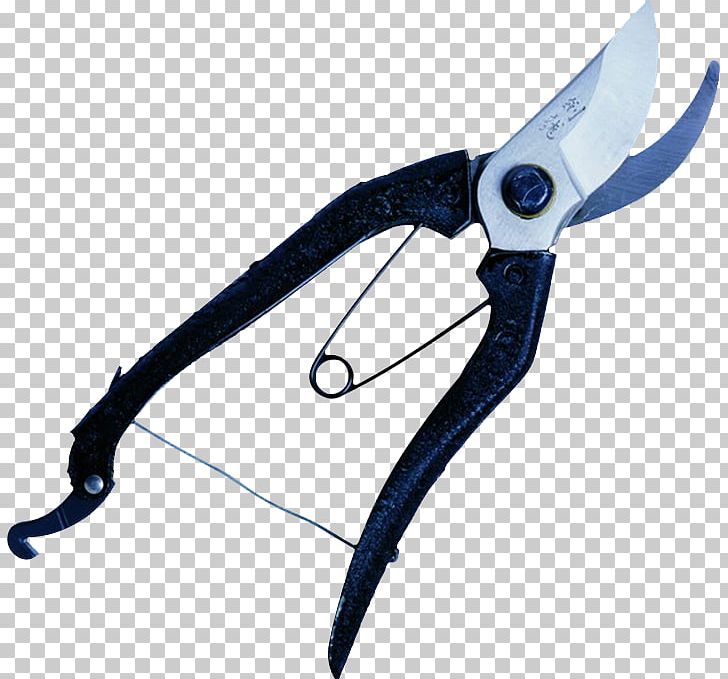 Shaodong County Tool Electroplating Scissors Pruning PNG, Clipart, Background Black, Black, Black Background, Black Board, Black Hair Free PNG Download