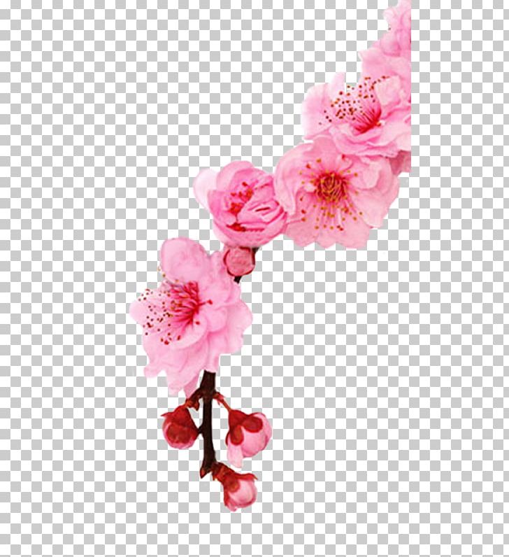 Cherry Blossom Stock Photography Spring Cherries PNG, Clipart, Azalea, Blossom, Branch, Cherries, Cherry Blossom Free PNG Download