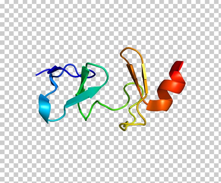 CSRP3 Actin Excitation–contraction Coupling Calcium Signaling Muscle PNG, Clipart, Actin, Area, Artwork, Biochemistry, Body Jewelry Free PNG Download
