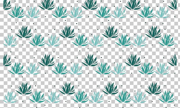 Euclidean Agave Angle Illustration PNG, Clipart, Agave, Aloe Vector, Aloe Vera, Aloe Vera Crush, Aloe Vera Gel Free PNG Download