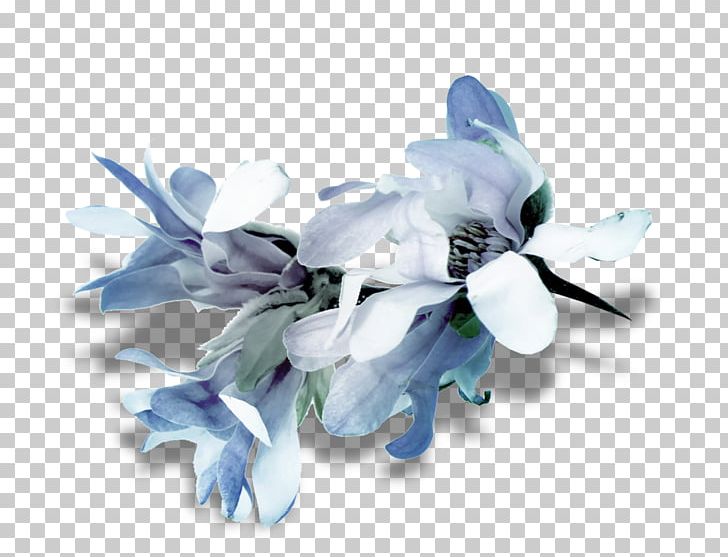 Floranova Flower Clothing Fashion Jacket PNG, Clipart, Blue, Clothing, Cut Flowers, Deco, Fashion Free PNG Download
