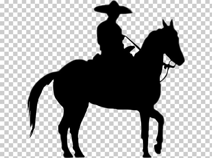 Horse Charro Mexico Silhouette Mariachi PNG, Clipart, Bridle, Charreada, Colt, Cowboy, English Riding Free PNG Download