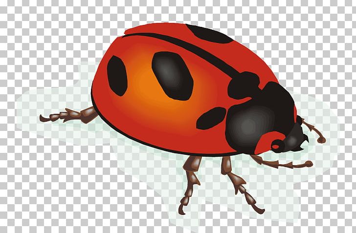 Ladybird Animation PNG, Clipart, Animal, Animation, Arthropod, Beetle, Cartoon Free PNG Download