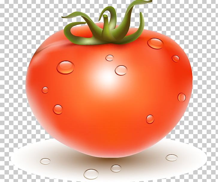 Plum Tomato Tomato Juice Cherry Tomato Bush Tomato PNG, Clipart, Diet Food, Download, Drops, Encapsulated Postscript, Food Free PNG Download