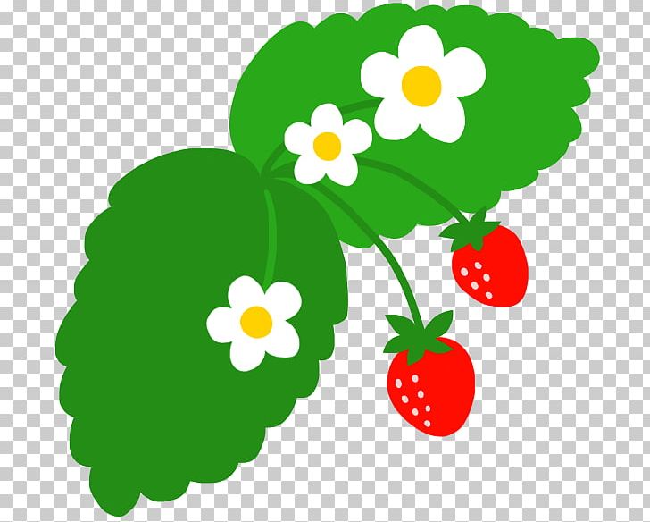 Strawberry Food Fruit PNG, Clipart, Artwork, Bean, Drink, Flora, Flower Free PNG Download