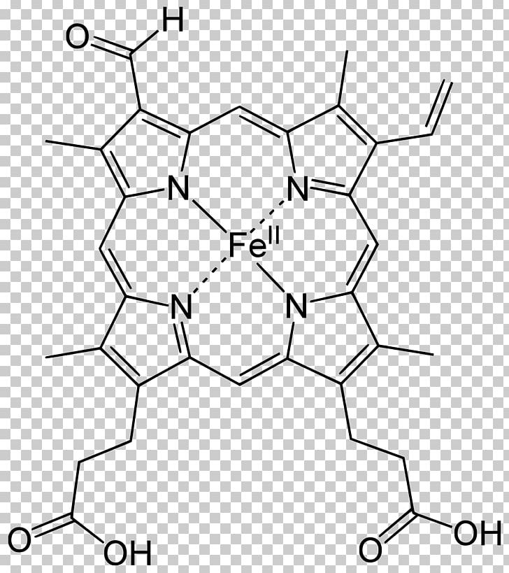 Heme Chlorocruorin Porphyrin Hemoglobin PNG, Clipart, Angle, Atom, Black, Black And White, Chlorocruorin Free PNG Download