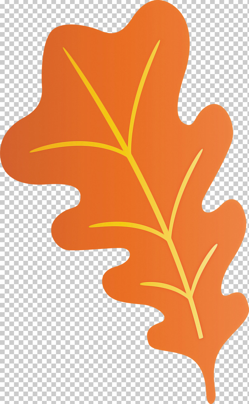Oak Leaf PNG, Clipart, Biology, Flower, Leaf, Meter, Oak Free PNG Download