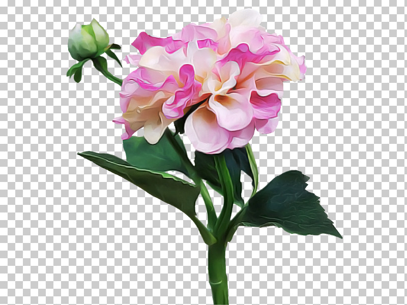 Artificial Flower PNG, Clipart, Artificial Flower, Bouquet, Chinese Peony, Common Peony, Cornales Free PNG Download