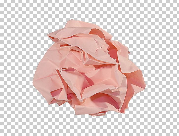 Garden Roses Light Pink A4 A3 PNG, Clipart, Color, Cut Flowers, Flower, Garden, Garden Roses Free PNG Download