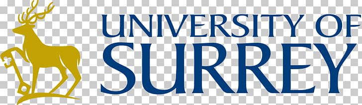 University Of Surrey Surrey Space Centre Logo PNG, Clipart, Area, Blue, Brand, Graphic Design, Guildford Free PNG Download