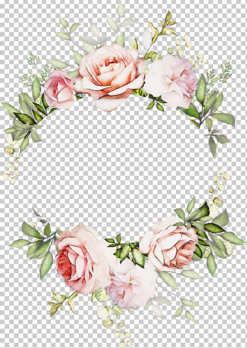 Garden Roses PNG, Clipart, Artificial Flower, Chrysanthemum, Cut Flowers, Floral Design, Flower Free PNG Download