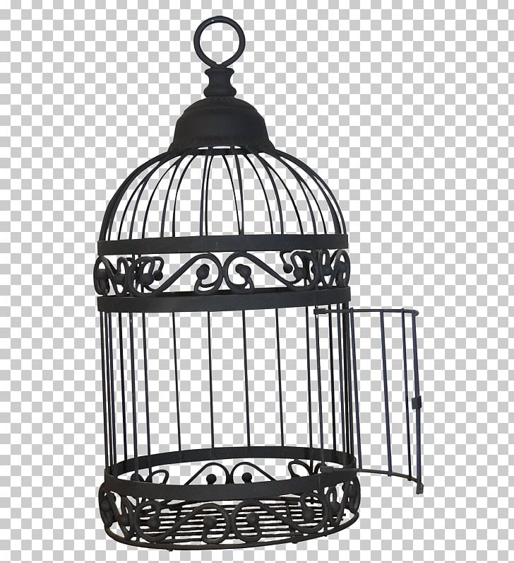 Birdcage PNG, Clipart, Animaatio, Animals, Bird, Birdcage, Black And White Free PNG Download