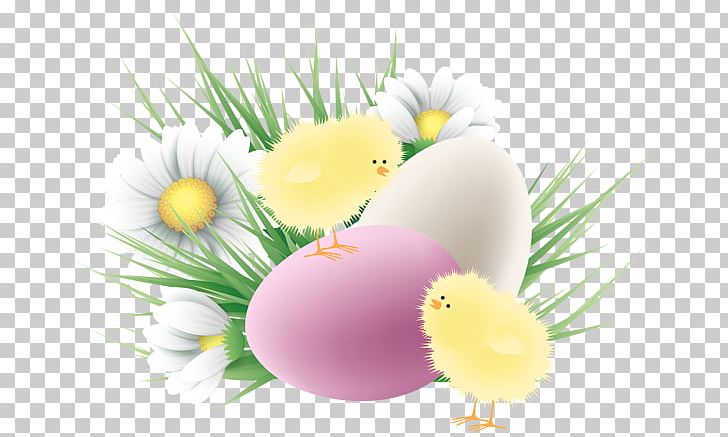 Chicken Easter Egg PNG, Clipart, Animals, Chicken, Computer Wallpaper, Daisy, Delicate Free PNG Download