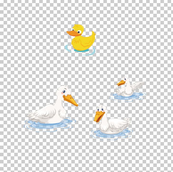 Duck Domestic Goose U9d28u5b50 PNG, Clipart, Animal, Animals, Beak, Bird, Blue Duck Free PNG Download