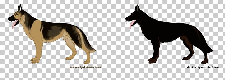 German Shepherd White Shepherd Puppy Maltese Dog Dog Breed PNG, Clipart, Animal, Animals, Breed, Breed Group Dog, Canidae Free PNG Download