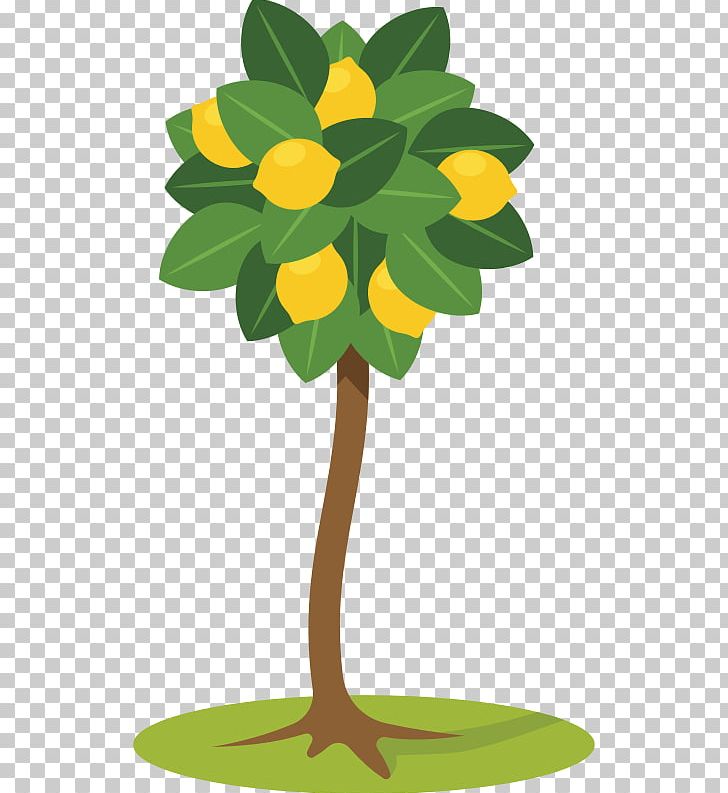 Lemon Tree PNG, Clipart, Branch, Citrus, Desktop Wallpaper, Flora, Flower Free PNG Download