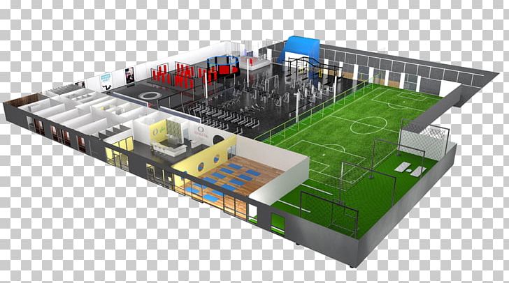 Fitness Centre Minnesota Vikings Functional Training Physical Fitness O Athletik PNG, Clipart, Adrian Peterson, Electronic Component, Electronics, Exercise, Fitness Centre Free PNG Download