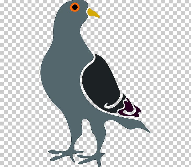 Homing Pigeon Columbidae Bird Graphics PNG, Clipart, Artwork, Beak, Bird, Black And White, Columbidae Free PNG Download