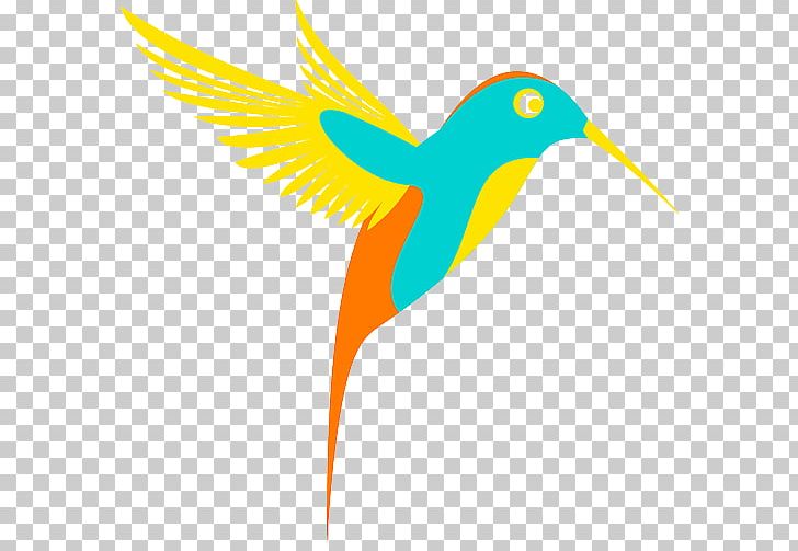 Hummingbird PNG, Clipart, Beak, Bird, Colibri, Colibri Group, Computer Icons Free PNG Download