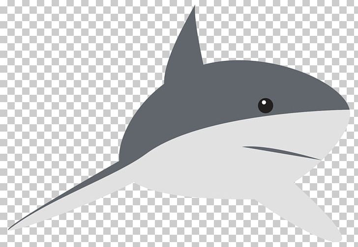 Shark Dolphin Tail PNG, Clipart, Animals, Cartilaginous Fish, Cartoon Shark, Dolphin, Fauna Free PNG Download