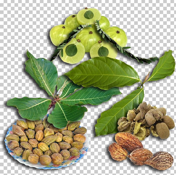 Triphala Ayurveda Natural Foods Powder PNG, Clipart, Ayurveda, Digestion, Dose, Food, Fruit Free PNG Download