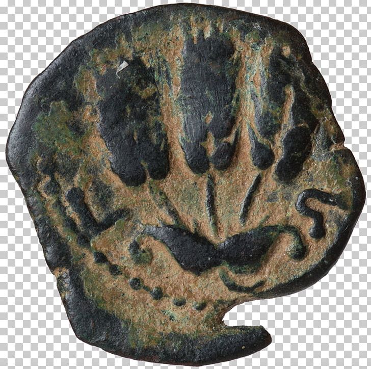 Coin Metal Bronze Organism PNG, Clipart, Artifact, Bronze, Coin, Herod Agrippa Ii, Metal Free PNG Download