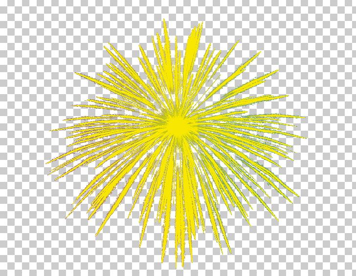 Fireworks Yellow PNG, Clipart, Circle, Color, Designer, Download, Euclidean Vector Free PNG Download