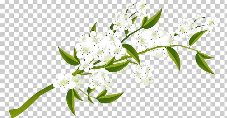 Icon PNG, Clipart, Background White, Black White, Blossom, Branch, Download Free PNG Download