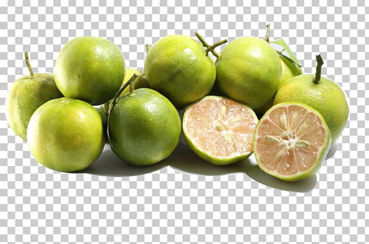 Key Lime Persian Lime Sweet Lemon Lemonade PNG, Clipart, Apple, Bee, Calamondin, Citrus, Dao Free PNG Download