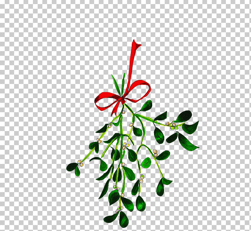 Leaf Plant Flower Branch Plant Stem PNG, Clipart, Branch, Flower, Leaf, Pedicel, Plant Free PNG Download