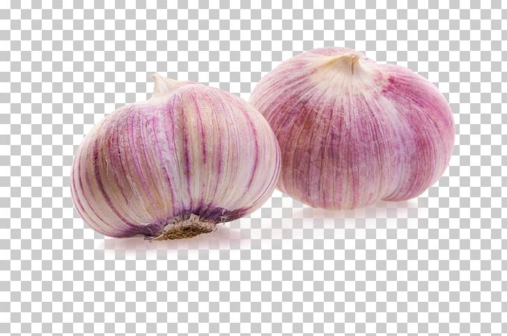 Garlic Shallot Red Onion PNG, Clipart, Burden, Cartoon Garlic, Chili Garlic, Condiment, Encapsulated Postscript Free PNG Download