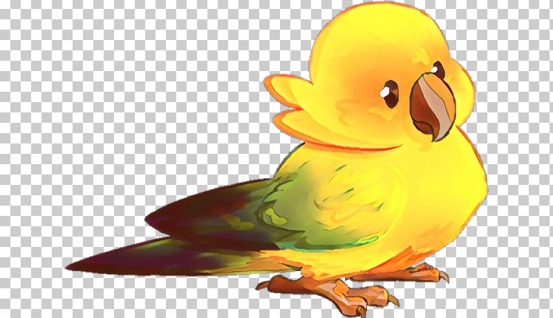 Bird Cartoon Parrot Yellow Beak PNG, Clipart, Animation, Beak, Bird, Cartoon, Ducks Geese And Swans Free PNG Download