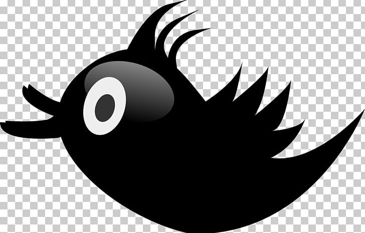 Bird PNG, Clipart, Animals, Artwork, Beak, Bird, Black And White Free PNG Download