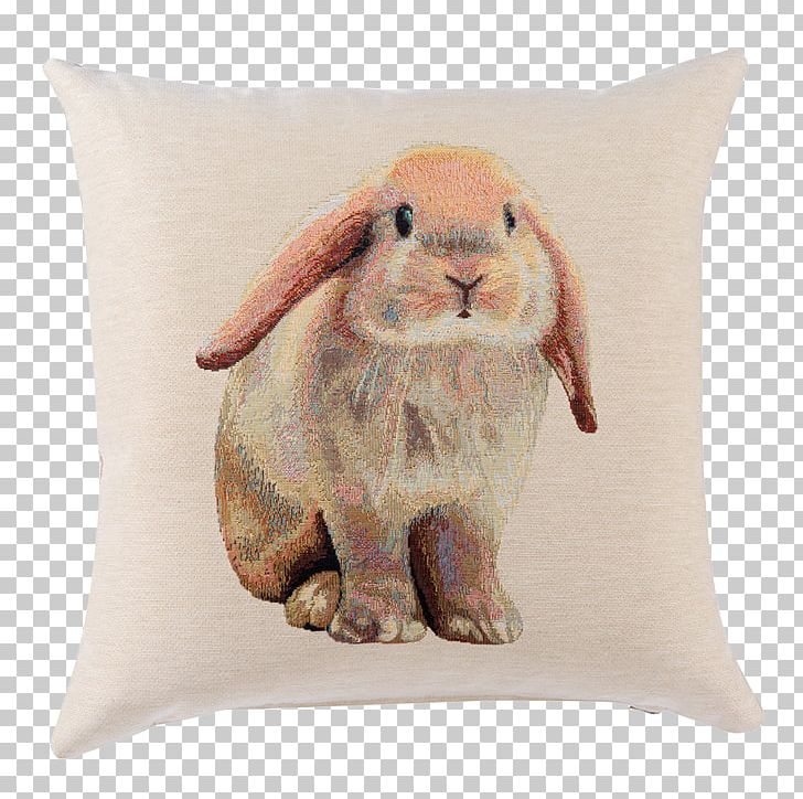 Cushion Pillow Domestic Rabbit Carpet Kilim PNG, Clipart, Bed, Bedding, Carpet, Couch, Cushion Free PNG Download