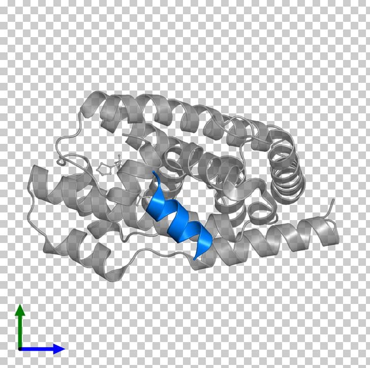 Farnesoid X Receptor Pregnane X Receptor Liver X Receptor PNG, Clipart, Acid, Angle, Assembly, Farnesoid X Receptor, Hardware Free PNG Download