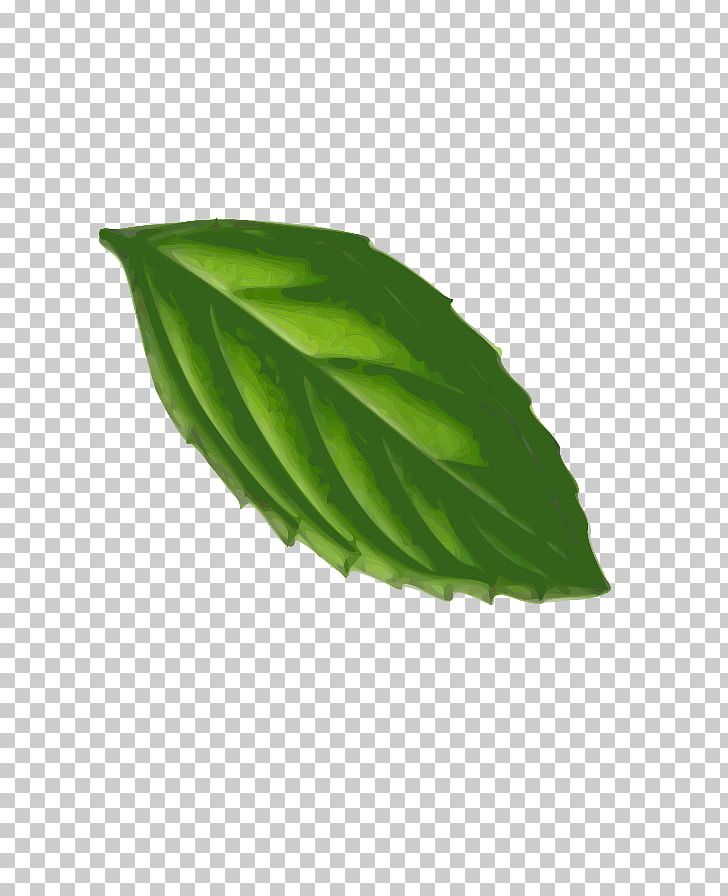 Peppermint Computer Icons Leaf PNG, Clipart, Computer Icons, Download, Drawing, Free Content, Herb Free PNG Download