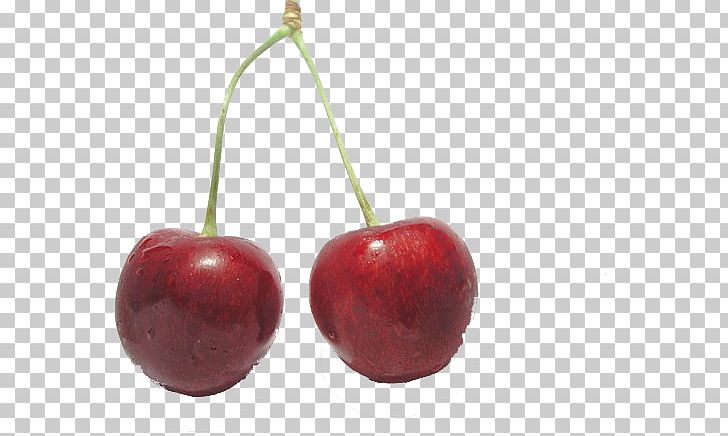 Sweet Cherry Fruit PNG, Clipart, Apple, Black Cherry, Cherries, Cherry, Cherry Blossom Free PNG Download