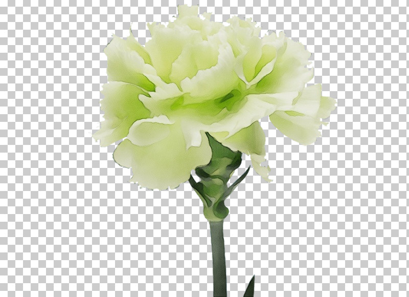 Artificial Flower PNG, Clipart, Artificial Flower, Bouquet, Carnation, Cut Flowers, Flower Free PNG Download