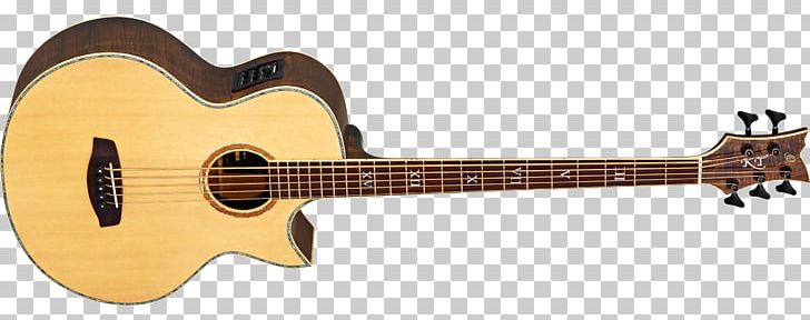 Acoustic Guitar Musical Instruments Bass Guitar String Instruments PNG, Clipart, Acoustic Bass Guitar, Amancio Ortega, Cuatro, Guitar Accessory, Musical Free PNG Download