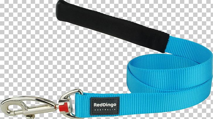 Leash Dingo Norwegian Lundehund Canaan Dog Shikoku PNG, Clipart, Belt, Blue, Canaan Dog, Cat, Clothing Accessories Free PNG Download