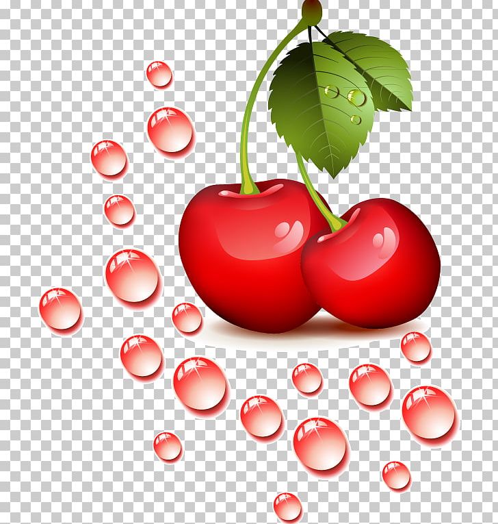 Cherry PNG, Clipart, Acerola Family, Apple, Auglis, Black And White, Cartoon Free PNG Download
