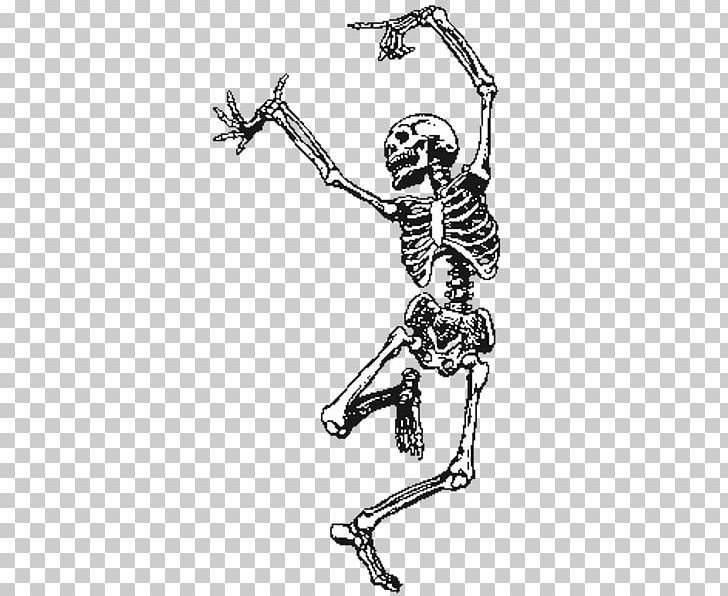 Human Skeleton Skull PNG, Clipart, Anatomy, Arm, Art, Black And White, Bone Free PNG Download