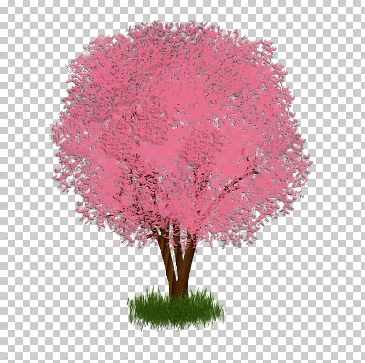 Shade Tree Regina De Luporum Shrub Branch PNG, Clipart, Book, Branch, Drama, Flower, Heart Free PNG Download