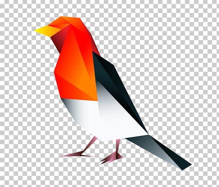 Bird Beak STX GLB.1800 UTIL. GR EUR Germain's Peacock-pheasant Graphics PNG, Clipart,  Free PNG Download