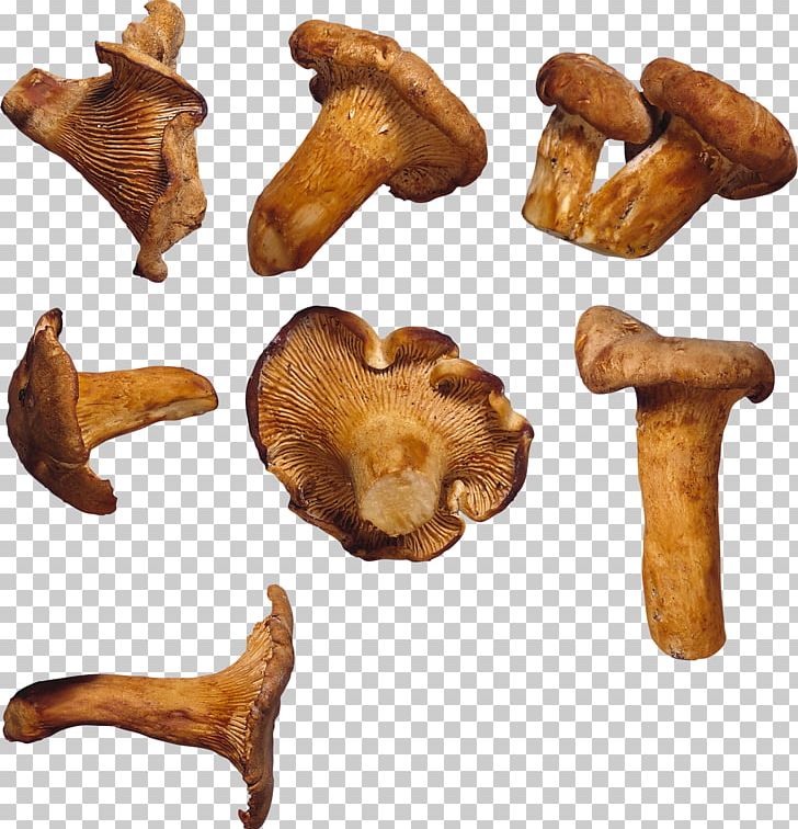 Edible Mushroom Fungus Food Chanterelle PNG, Clipart, Artichokes, Chanterelle, Eating, Edible Mushroom, Food Free PNG Download