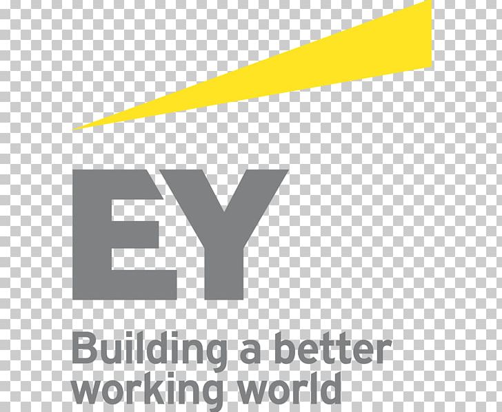 Ernst & Young Accounting Finance Accountant Company PNG, Clipart, Accountant, Accounting, Angle, Area, Arthur Young Free PNG Download