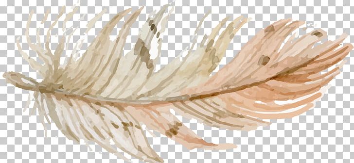 Feather Drawing PNG, Clipart, Animals, Chart, Digital Paper, Drawing, Feather Free PNG Download