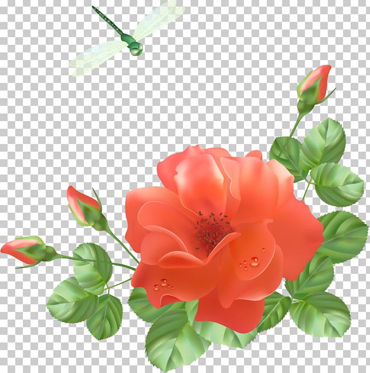 Jubileum PNG, Clipart, Annual Plant, Art, Azalea, China Rose, Drawing Free PNG Download
