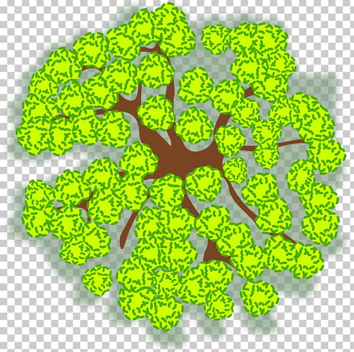 Tree Computer Icons PNG, Clipart, Birch, Computer Icons, Grass, Green, Leaf Free PNG Download